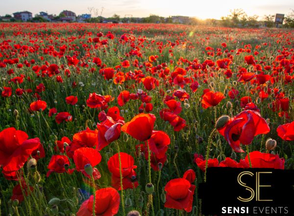 Honoring with Heart: Creative Ideas for Remembrance Day Events
